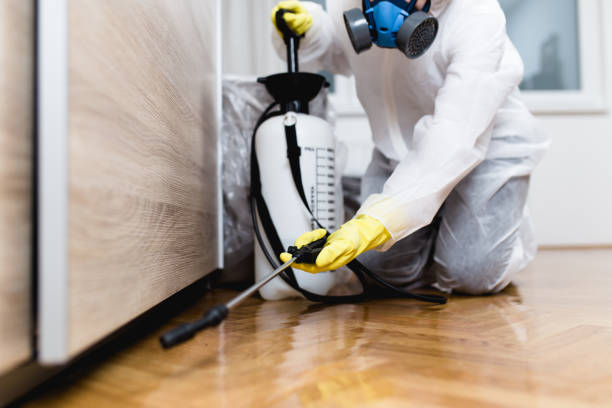 Best Pest Prevention Services  in Jersey Village, TX