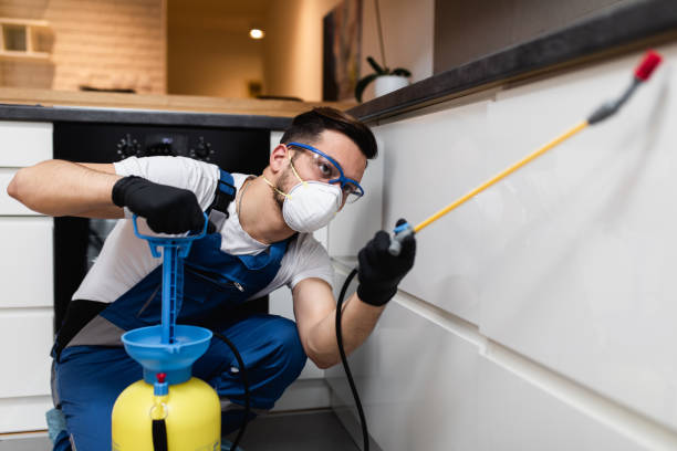 Best Bed Bug Extermination  in Jersey Village, TX