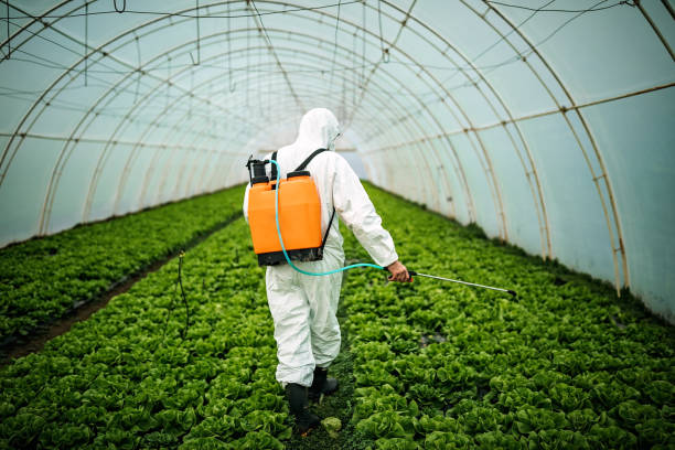 Best Pest Control for Businesses  in Jersey Village, TX