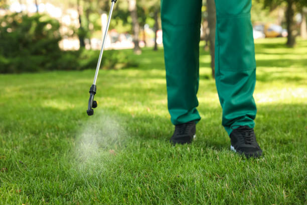Best Best Pest Control Companies  in Jersey Village, TX