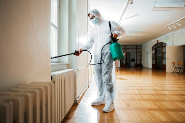 Best Pest Removal Services  in Jersey Village, TX