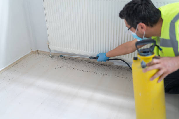 Best Pest Inspection Near Me  in Jersey Village, TX